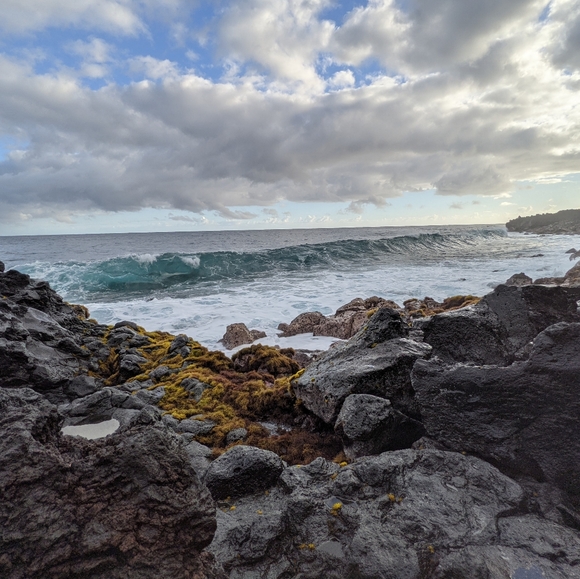 💝🛍Welcome To My Closet 💋! - Picture 15 of 16